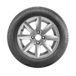 PNEU PIRELLI FORMULA EVO 205/55R16 91V  